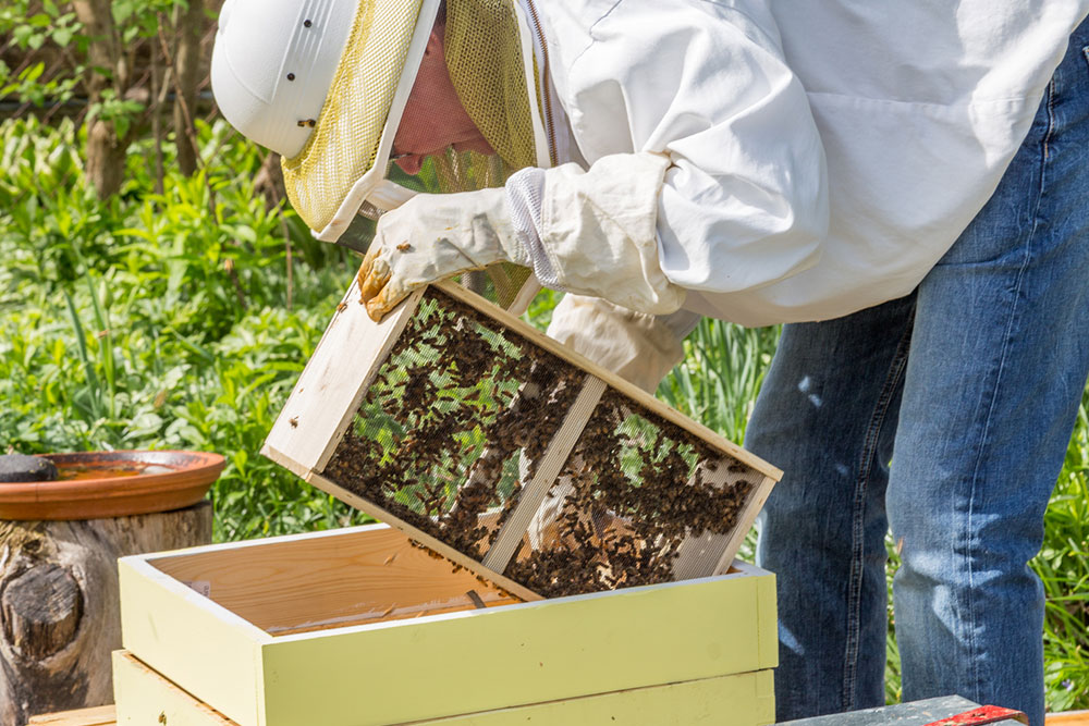 Ways to treat and prevent hives