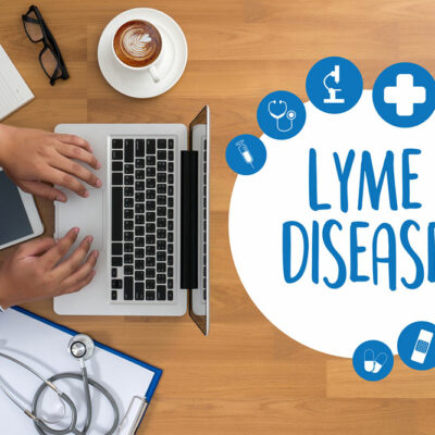 All you need to know about Lyme disease