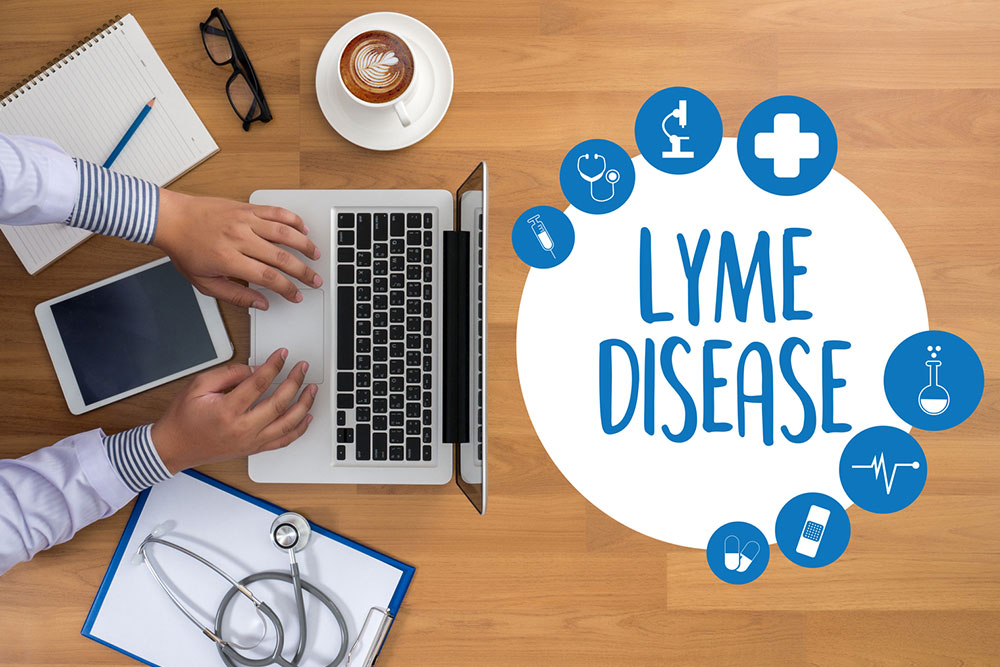All you need to know about Lyme disease