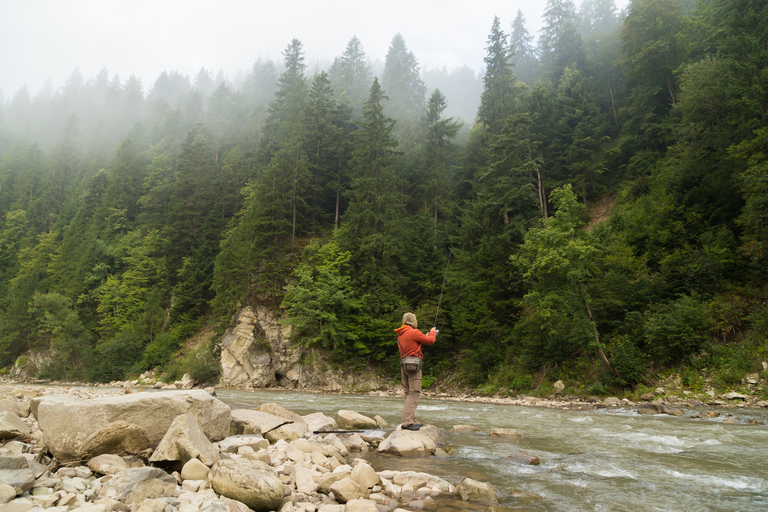 How Nature Helps in Mental Health and Addiction Treatments