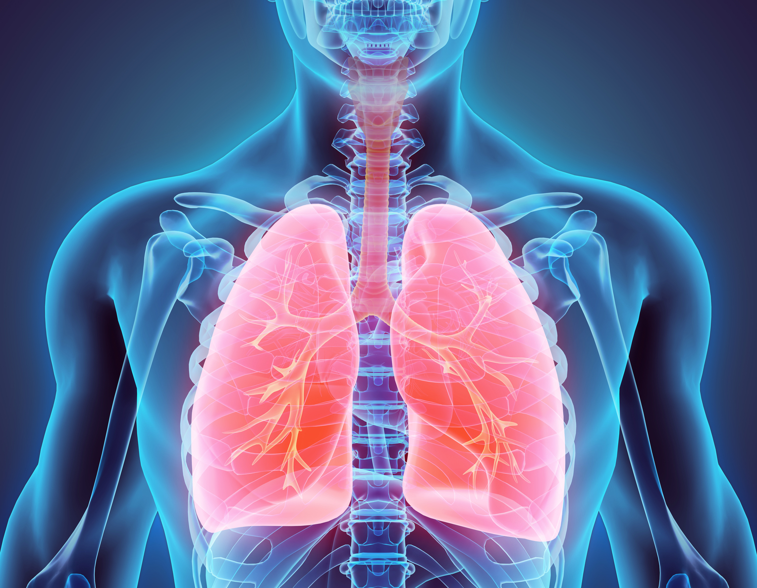 Treatments for Non-Small Cell Lung Cancer