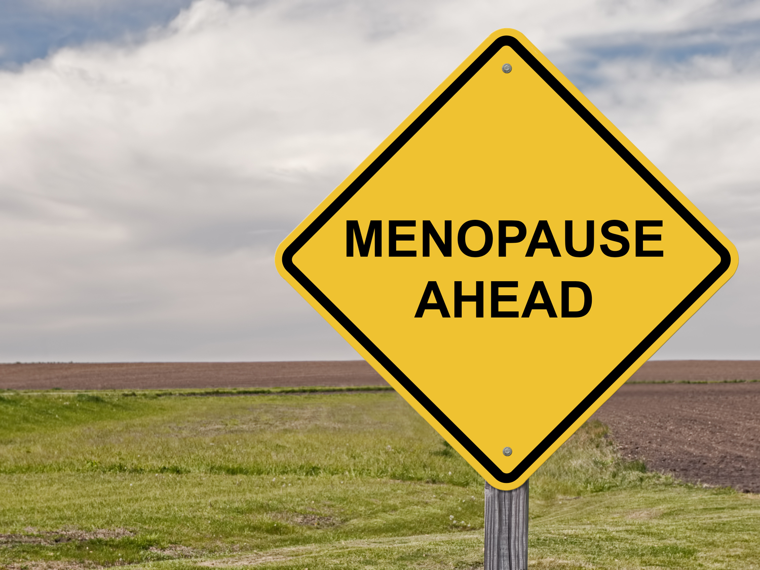 5 Foods To Help Manage Menopause Symptoms